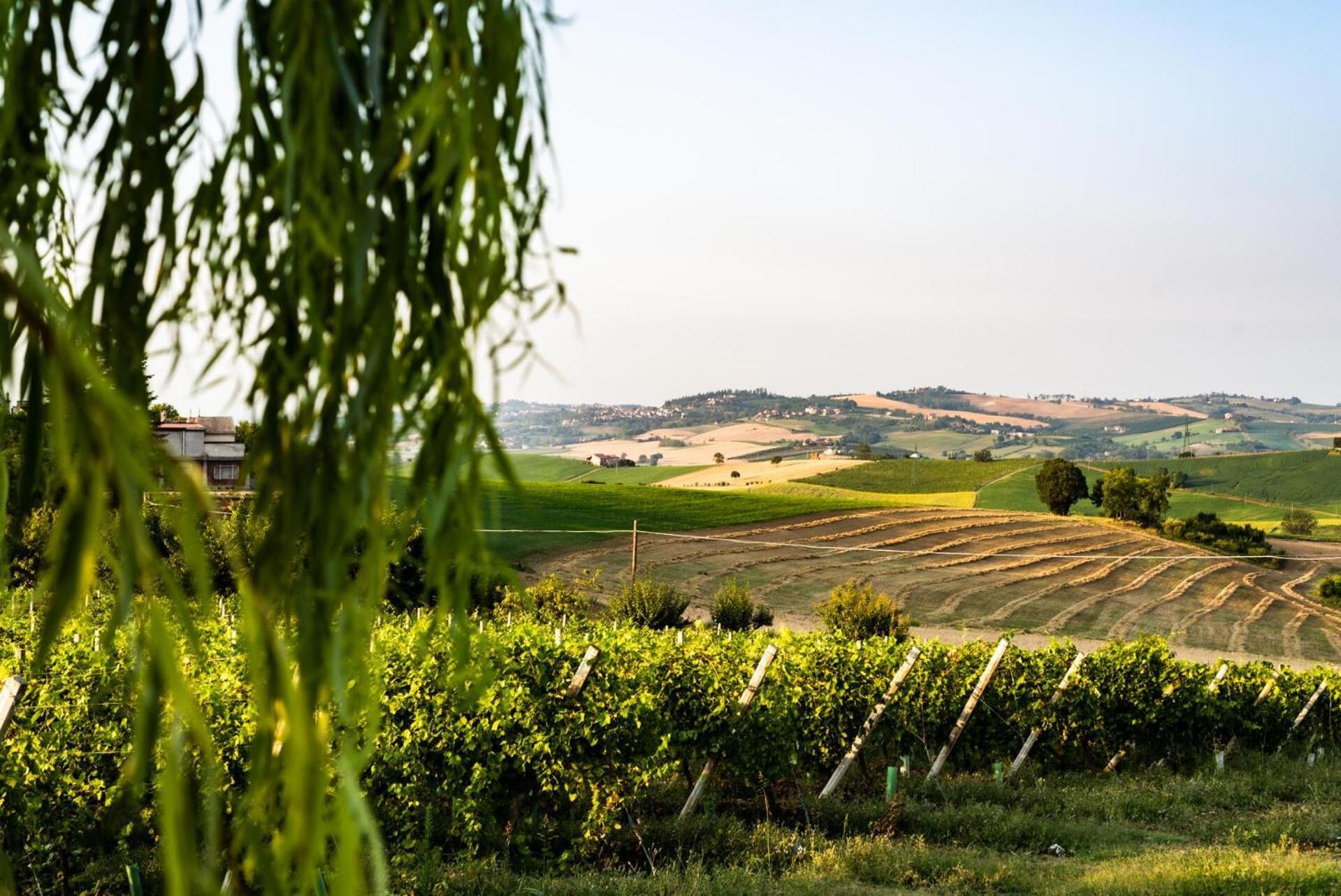 Tenuta Monvillone & Restaurant *